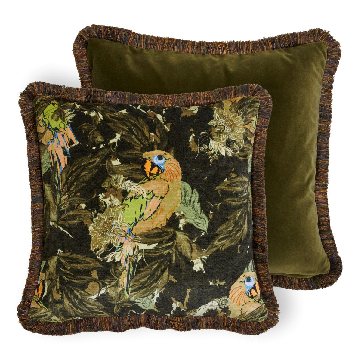 Cushion Recto 45x45 Royal Macaw