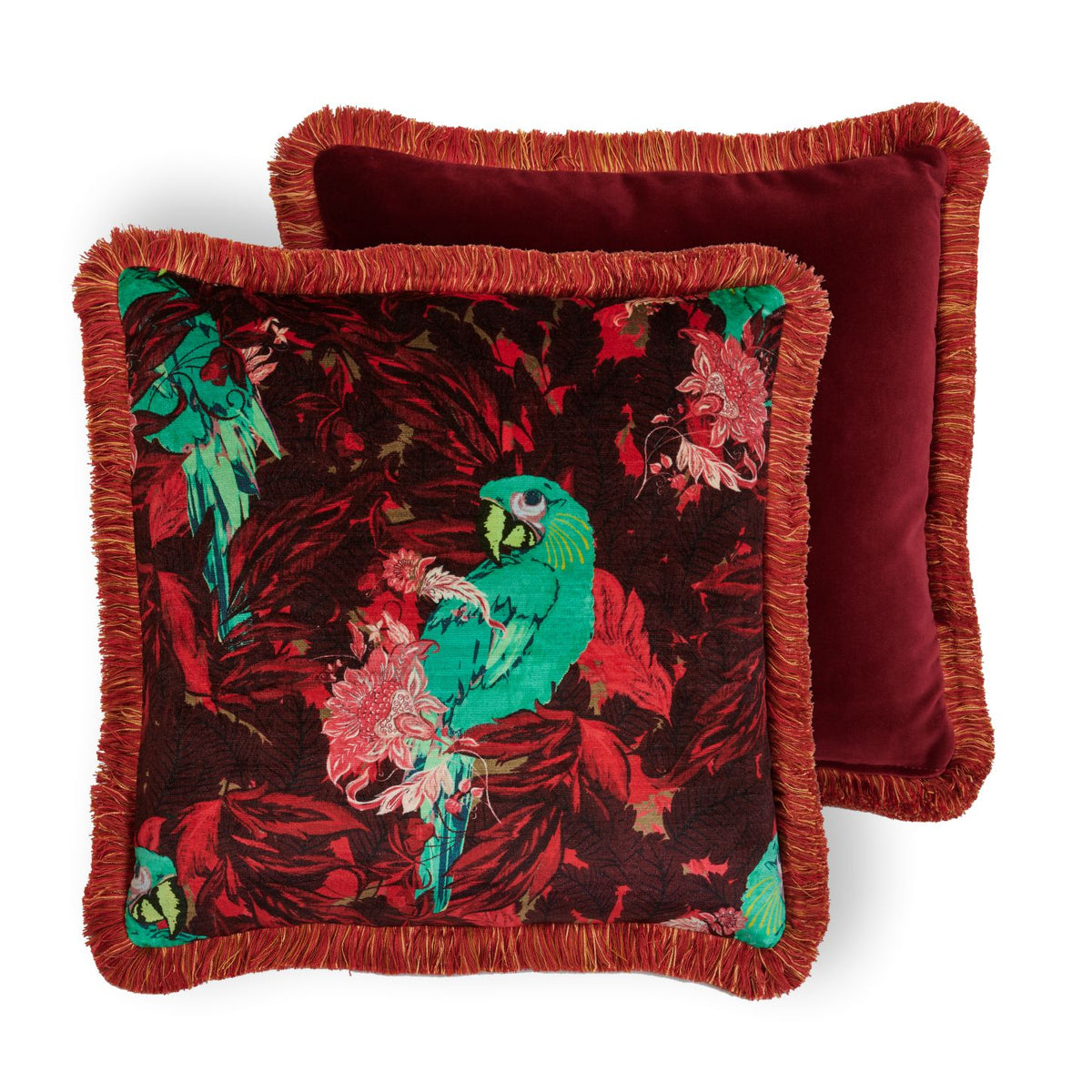 Cushion Recto 45x45 Royal Macaw
